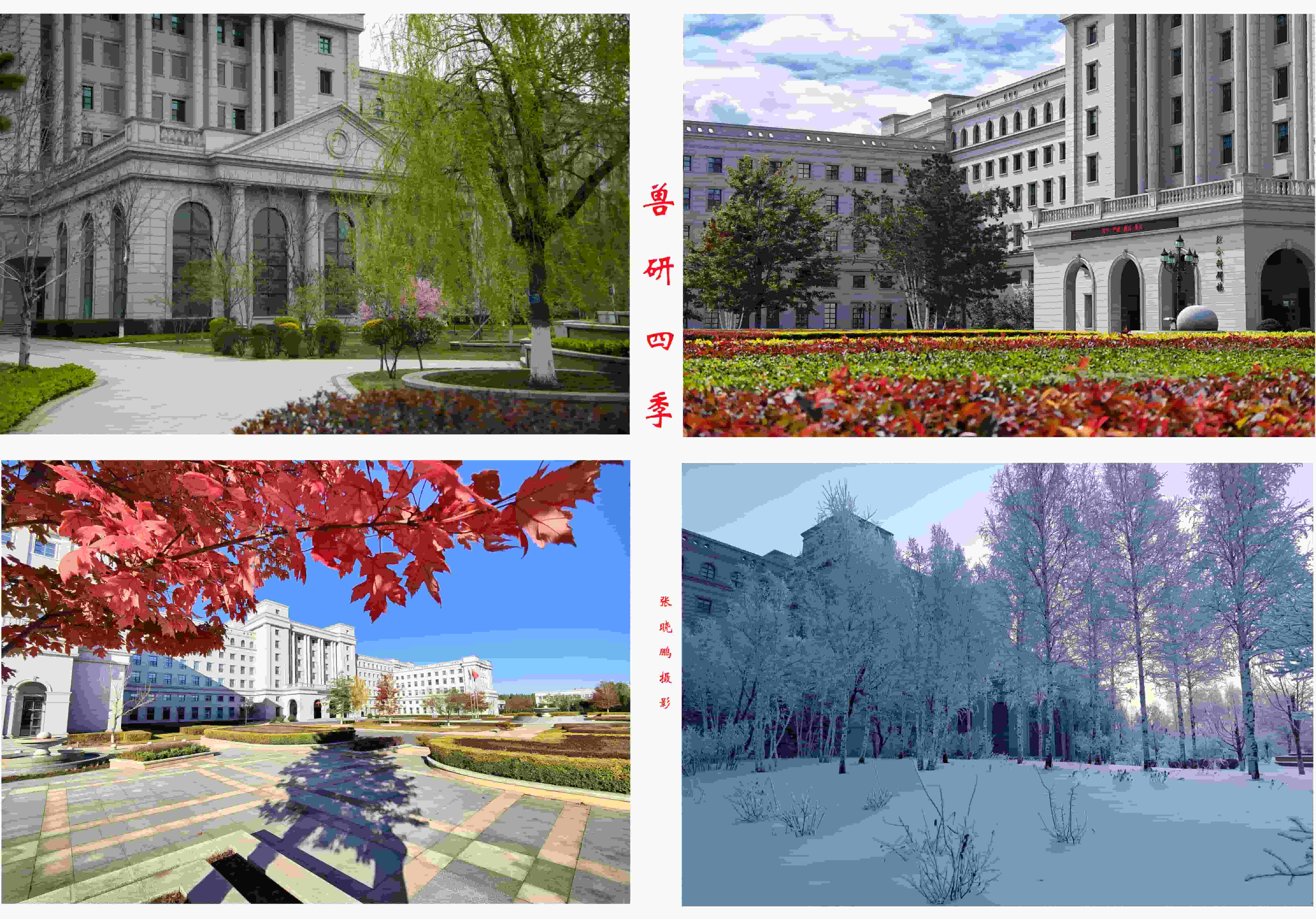 兽研四季-张晓鹏.jpg